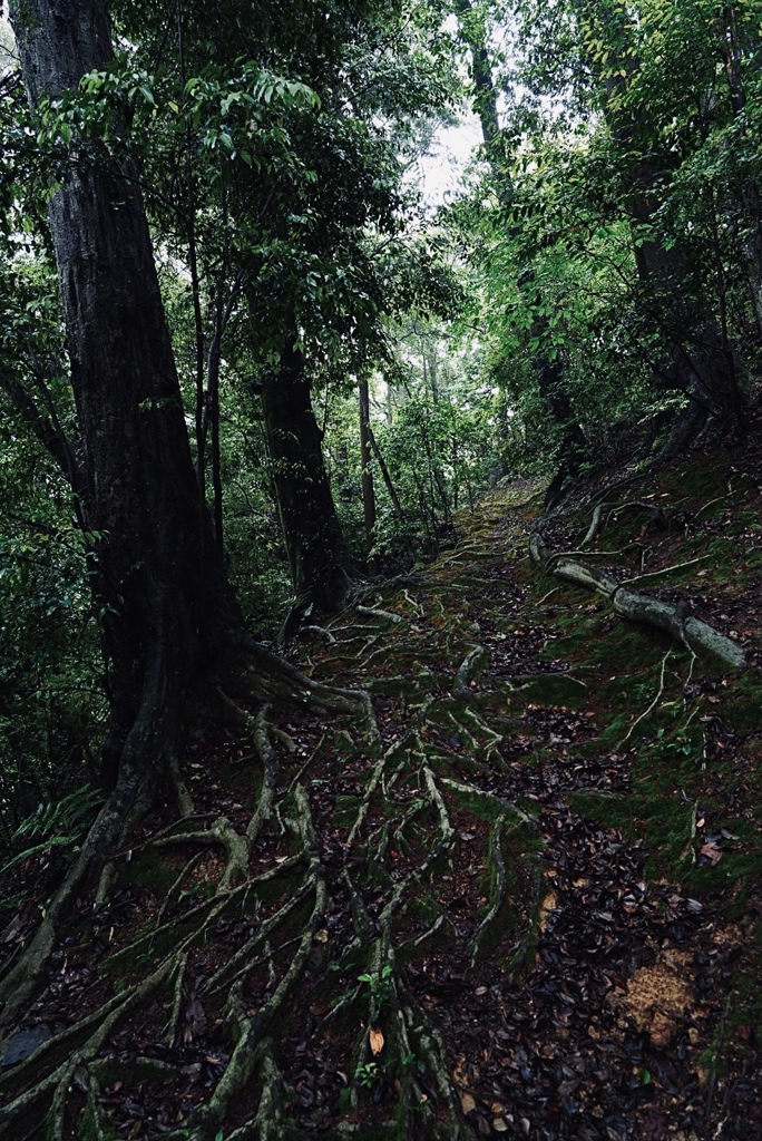 山道