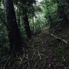 山道