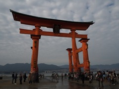 厳島神社の大鳥居
