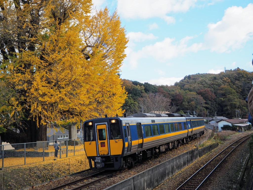 智頭急行 いなば