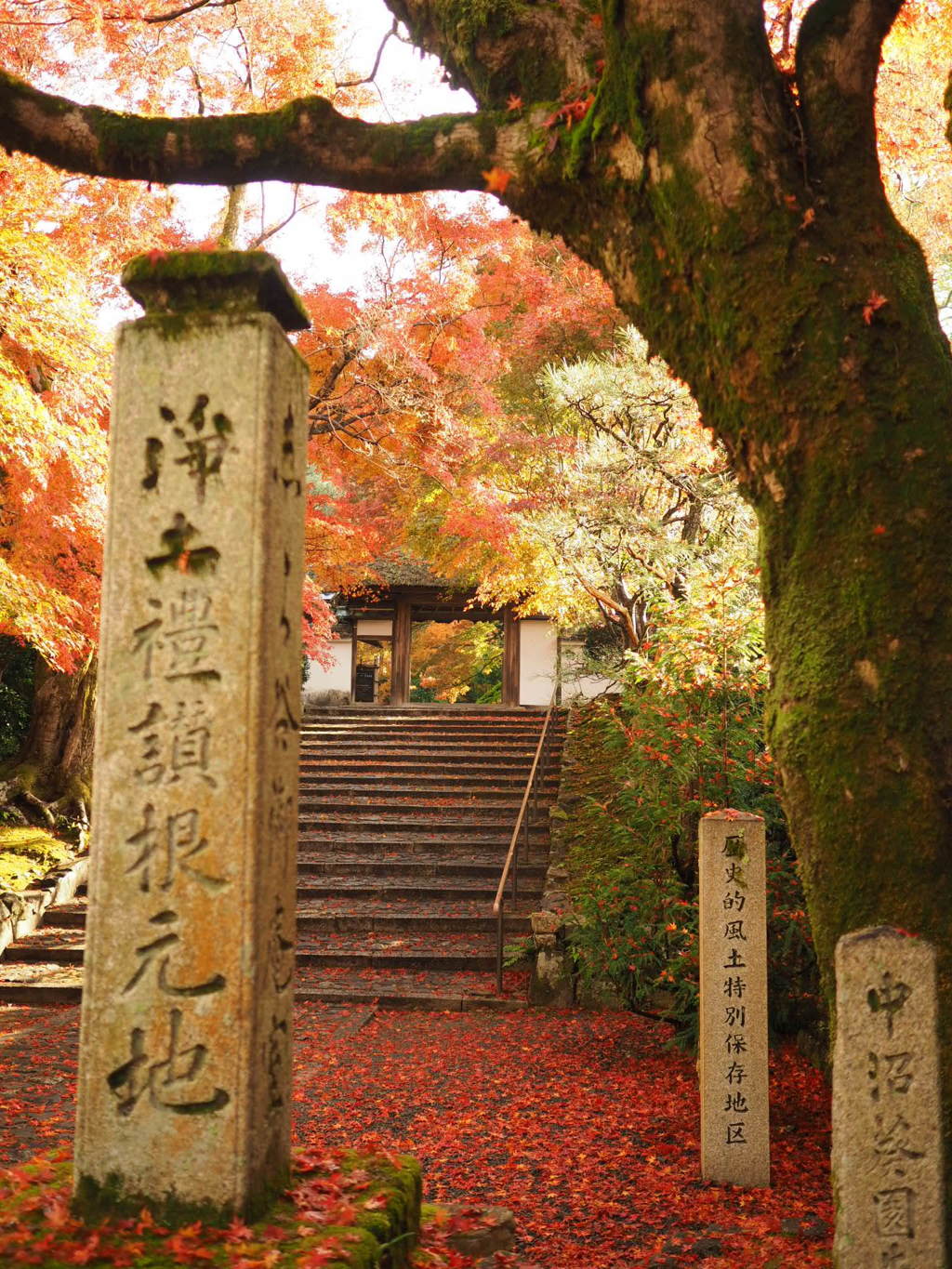 晩秋の安楽寺