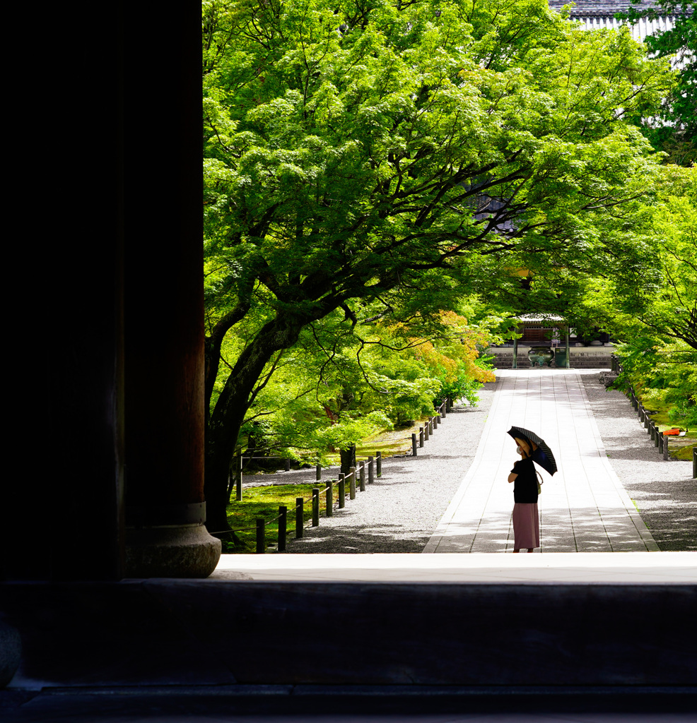 夏の京都