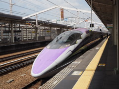 500 TYPE EVA