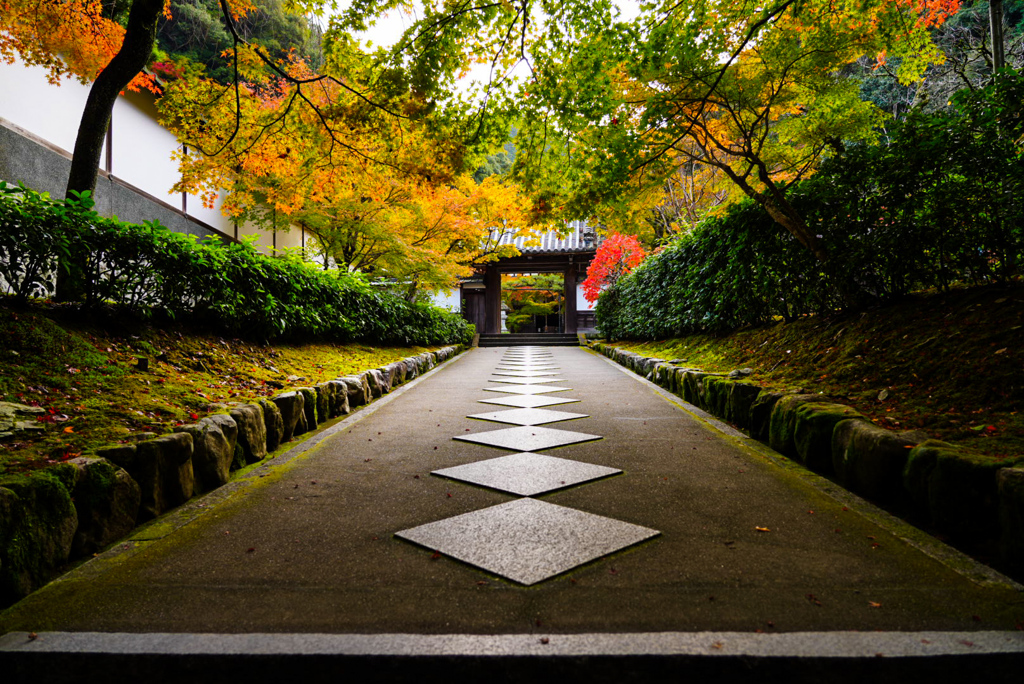 高徳庵