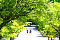 夏の京都　南禅寺