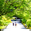 夏の京都　南禅寺