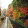 紅葉三昧の小径