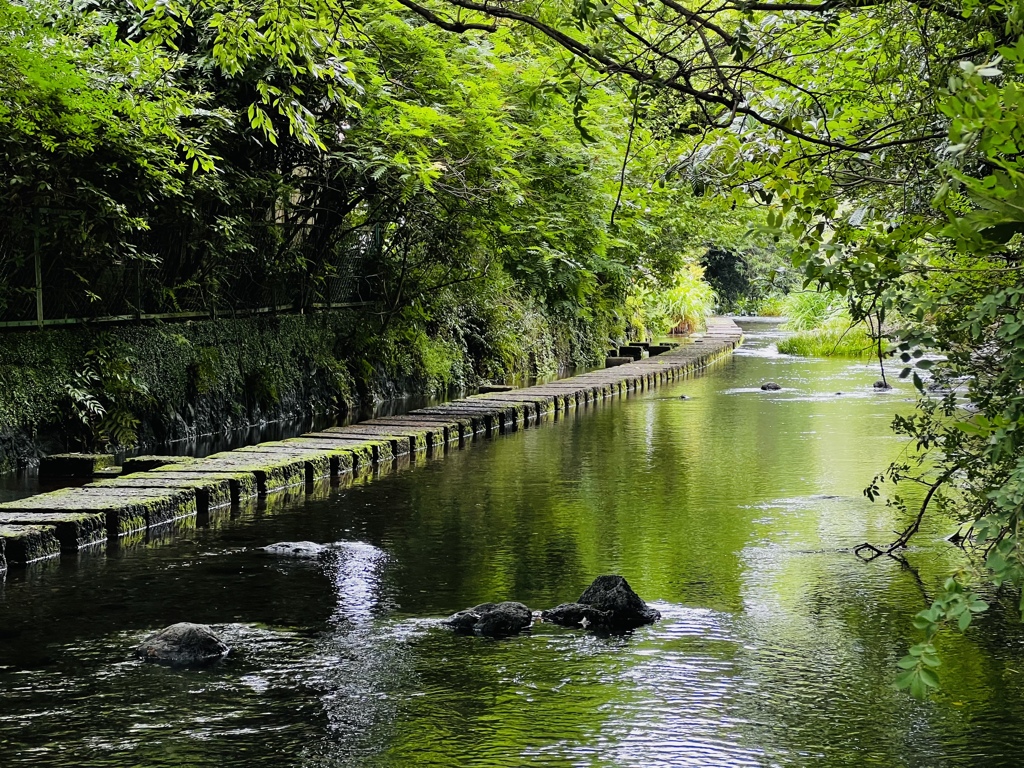 せせらぎ散策