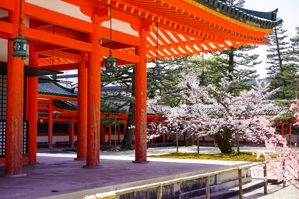 一日も早く平安な世の中に。