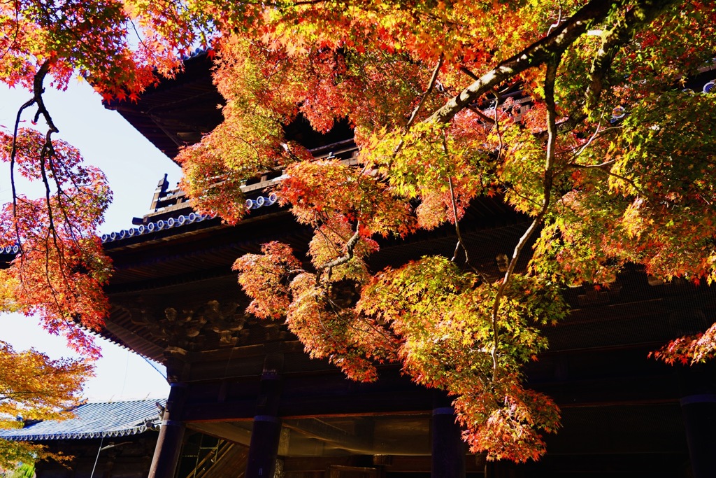 京の秋　南禅寺