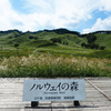 風を感じて