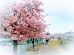 春の散歩道