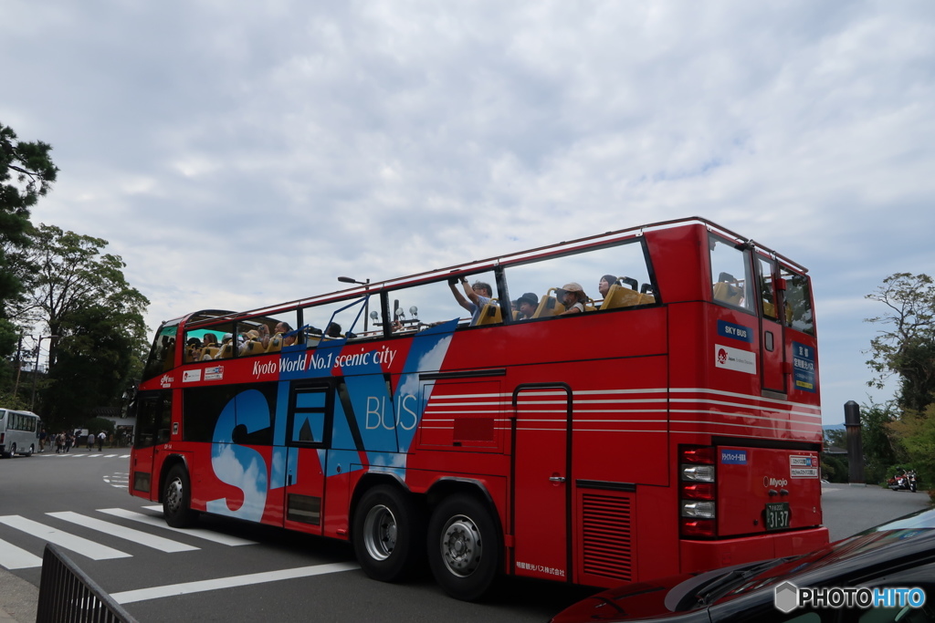 スカイバス
