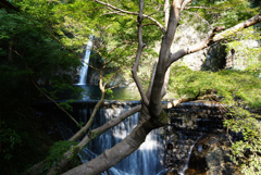布引の滝　雌滝