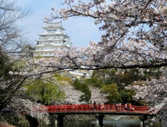 姫路城 平成最後の春