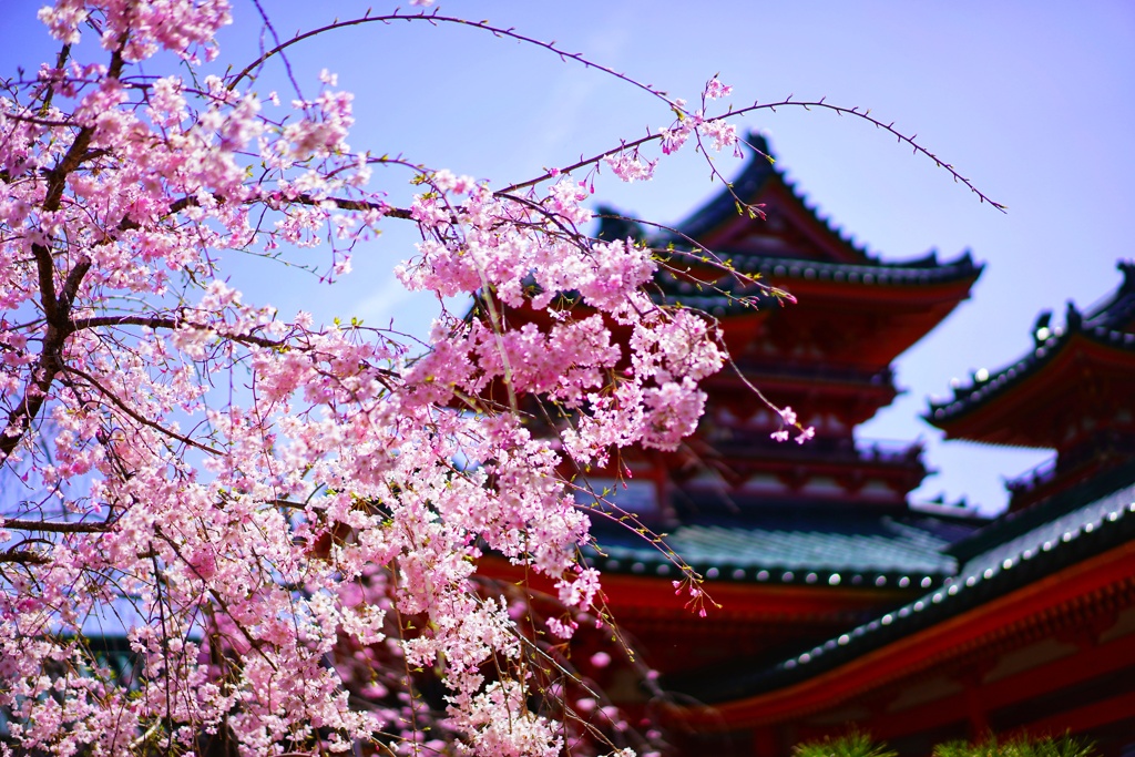 紅と朱