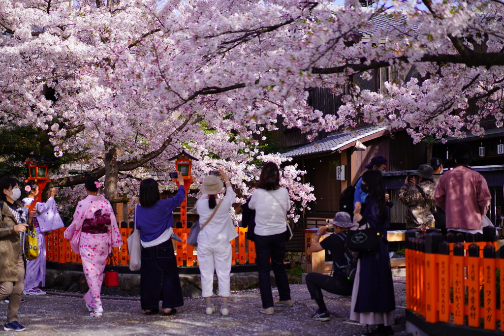 春の撮影会
