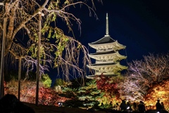 東寺　秋の夜