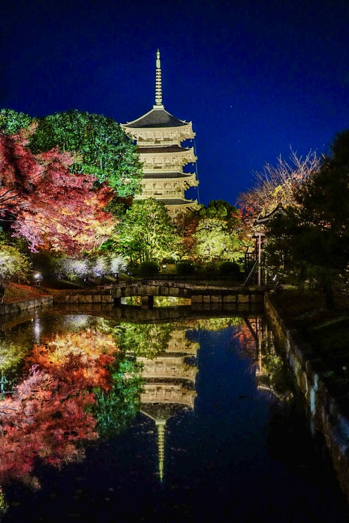 東寺　秋のライトアップ
