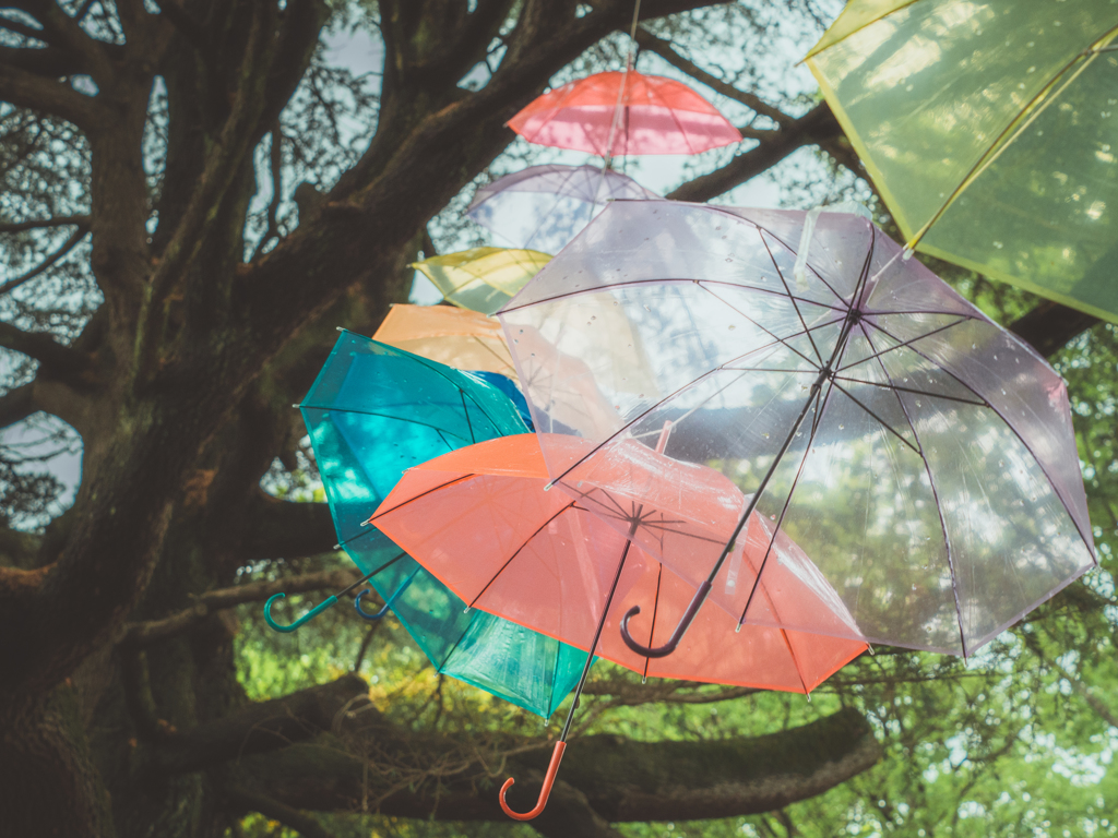 Corps of umbrellas