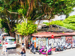 The house where the tree is growing