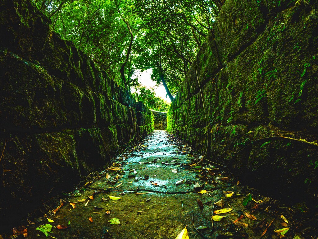 大武崙古砲台_1