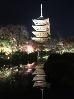 東寺ライトアップ