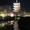 東寺ライトアップ