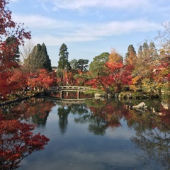 永観堂