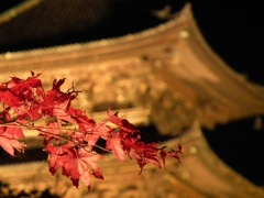 東寺ライトアップ