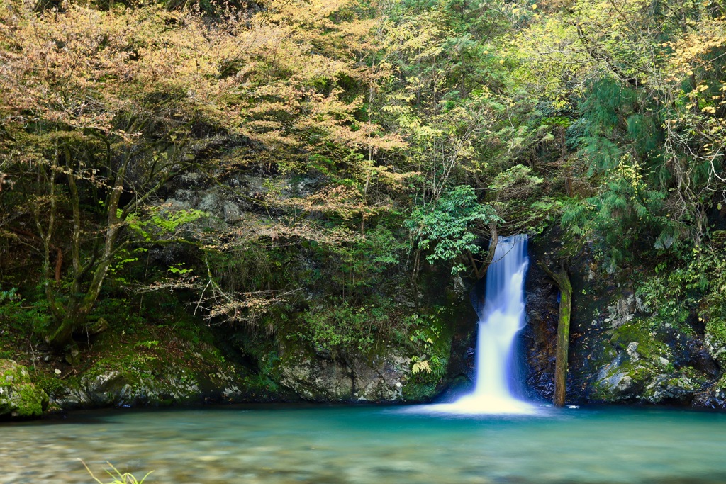 紅葉滝