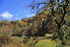 紅葉の白川郷