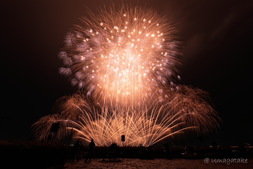 ISOGAI花火芸劇場 in 名古屋港⑧　フィナーレ