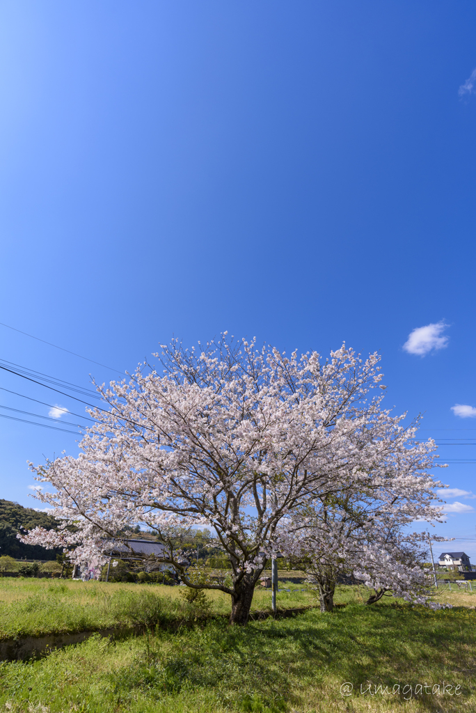 青空の下で