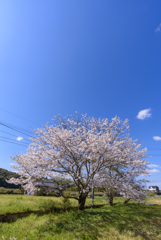 青空の下で