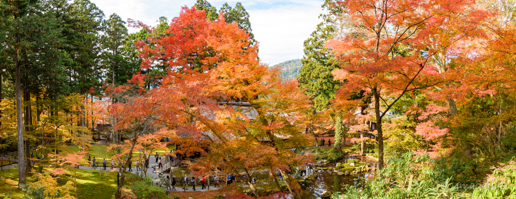 京都　紅葉紀行⑦