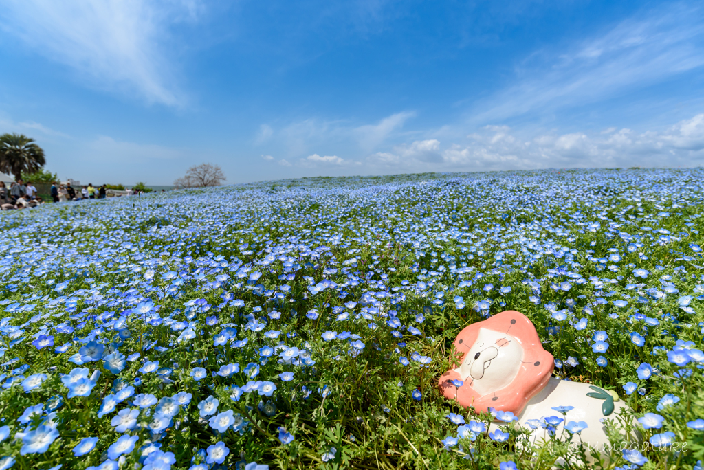 いい気持ちだニャン