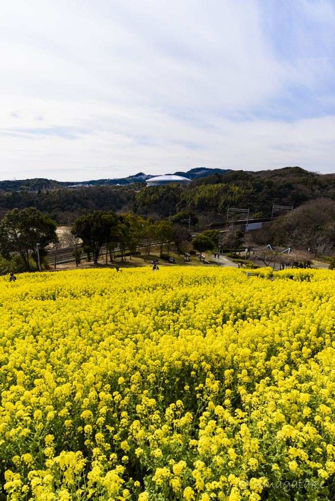 一面に