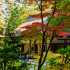 京都　紅葉紀行③