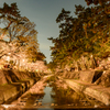 夙川夜景 II