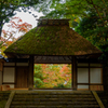 京都　紅葉紀行①