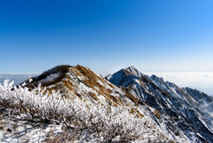 鳥取大山の頂