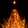 クリスマスタワー「自然の力」