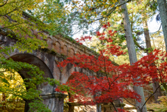 京都　紅葉紀行⑤