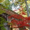京都　紅葉紀行⑤