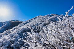 鳥取大山の樹氷