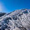 鳥取大山の樹氷