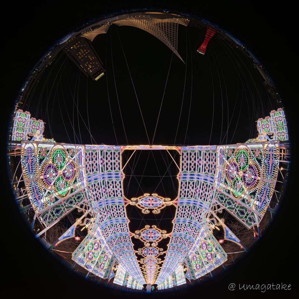 第31回　神戸ルミナリエ　神戸の象徴と一緒に