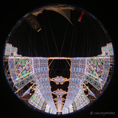 第31回　神戸ルミナリエ　神戸の象徴と一緒に