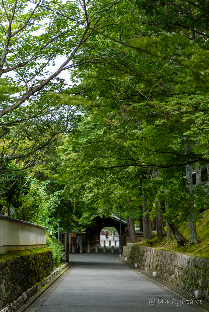 また秋に　臥雲橋バージョン